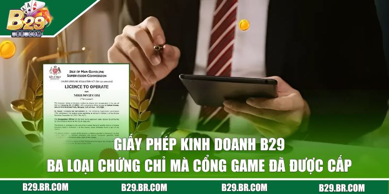 Ba loại giấy phép mà B29 đã được cấp